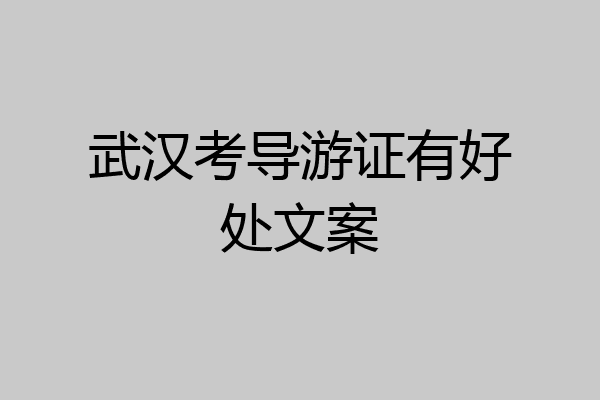 武汉考导游证有好处文案