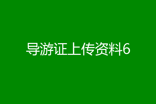 导游证上传资料6