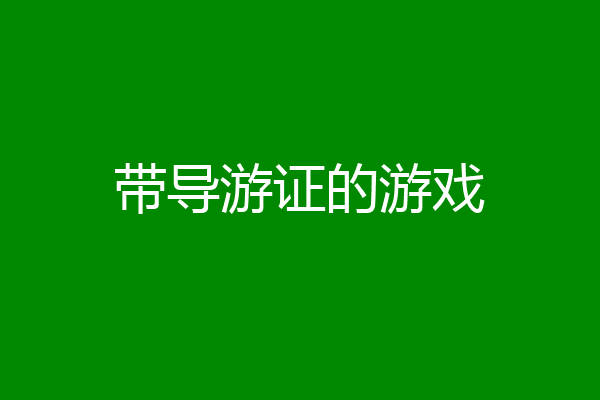 带导游证的游戏