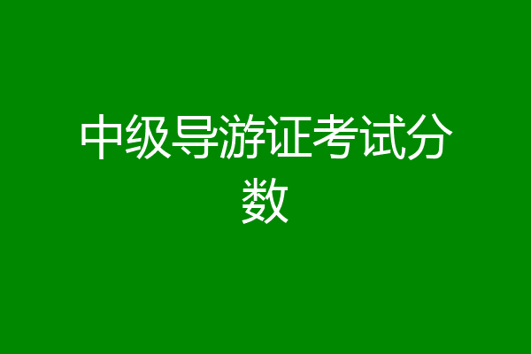 中级导游证考试分数