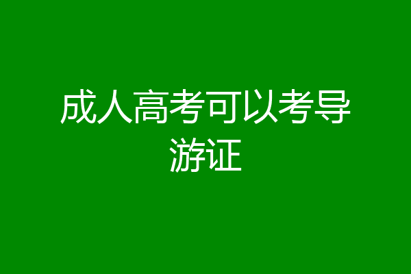成人高考可以考导游证