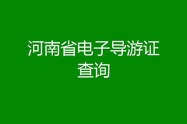 河南省电子导游证查询