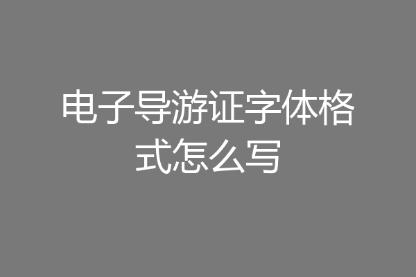 电子导游证字体格式怎么写