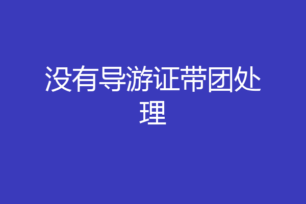 没有导游证带团处理