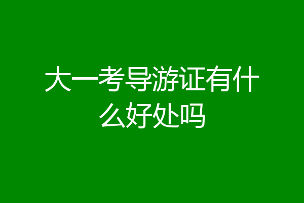 大一考导游证有什么好处吗