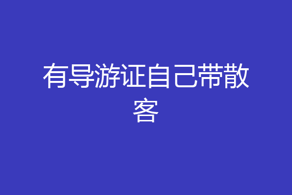 有导游证自己带散客
