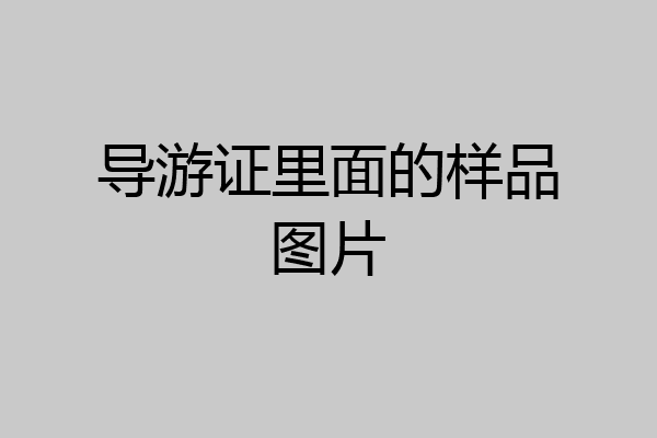 导游证里面的样品图片