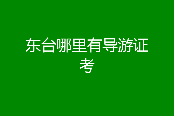东台哪里有导游证考