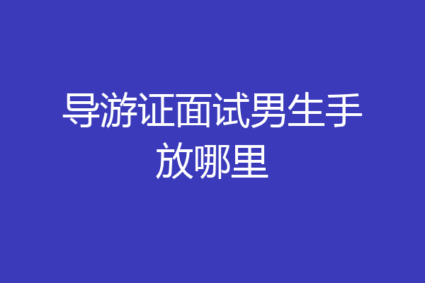 导游证面试男生手放哪里