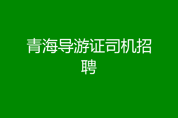 青海导游证司机招聘