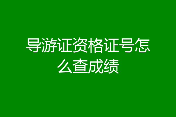 导游证资格证号怎么查成绩