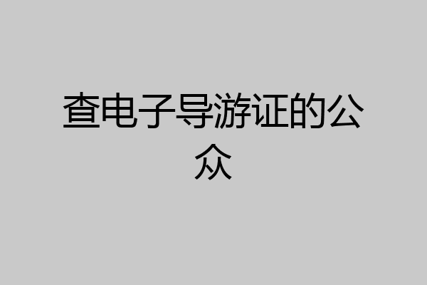 查电子导游证的公众