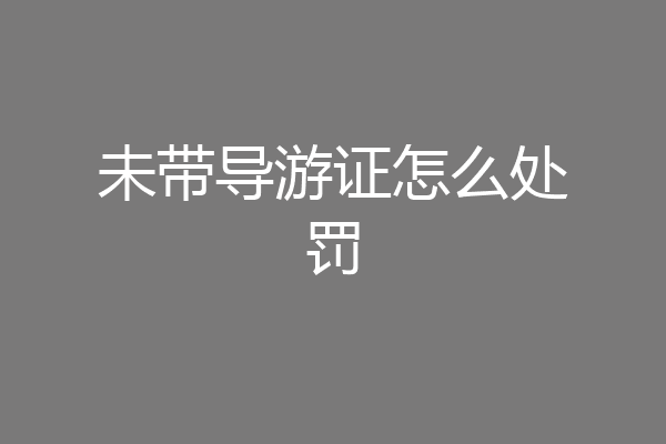 未带导游证怎么处罚