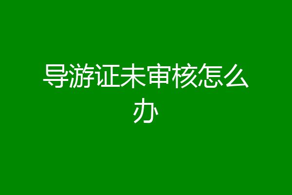 导游证未审核怎么办