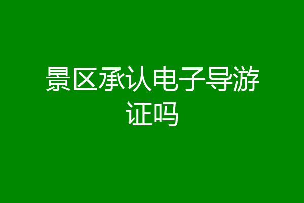 景区承认电子导游证吗