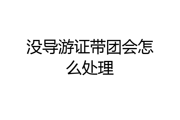 没导游证带团会怎么处理
