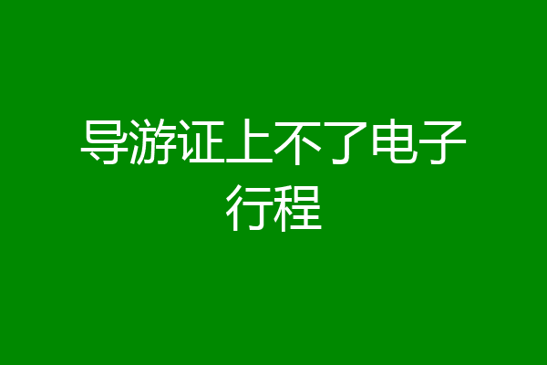 导游证上不了电子行程