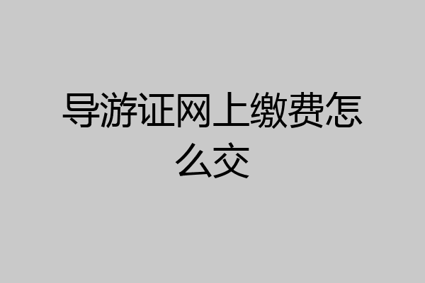 导游证网上缴费怎么交