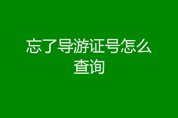 忘了导游证号怎么查询