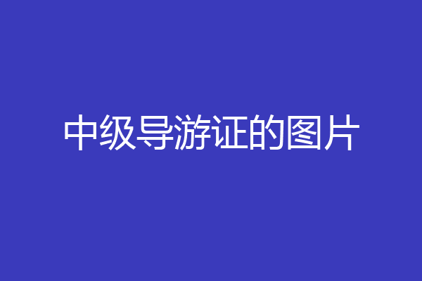 中级导游证的图片