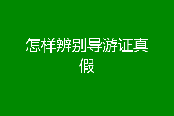 怎样辨别导游证真假