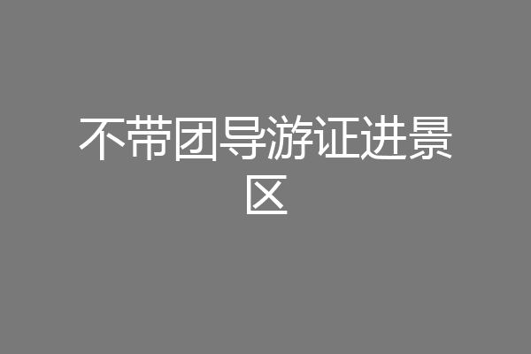 不带团导游证进景区