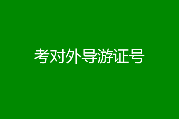 考对外导游证号