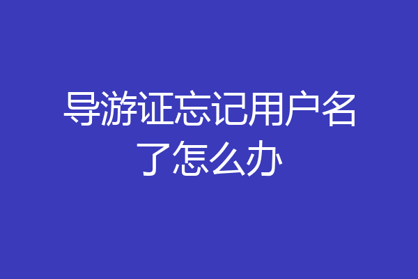 导游证忘记用户名了怎么办