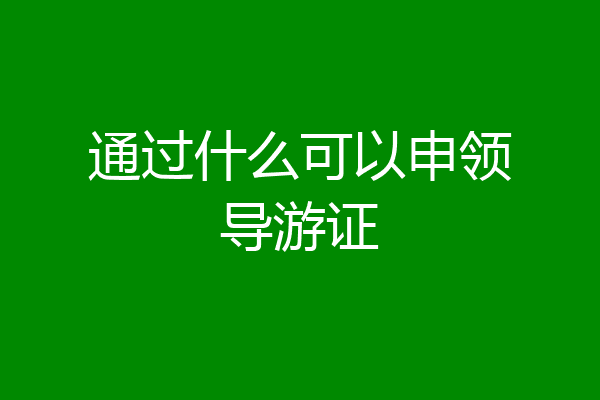 通过什么可以申领导游证