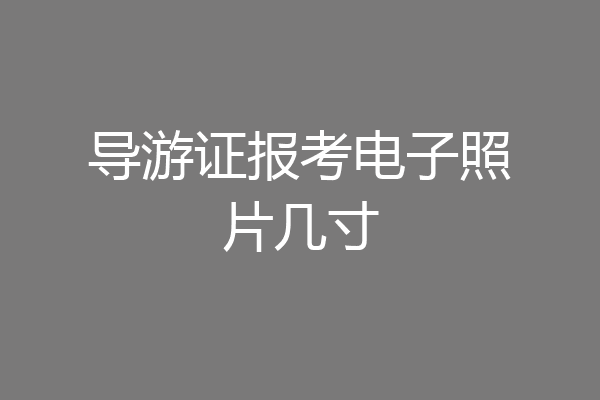 导游证报考电子照片几寸