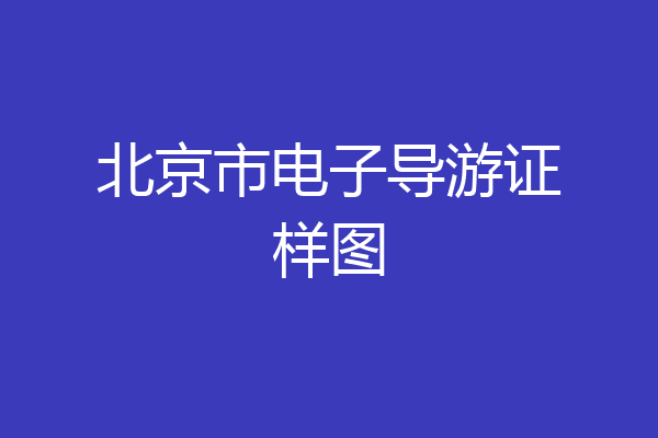 北京市电子导游证样图