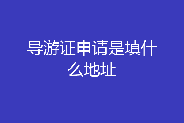 导游证申请是填什么地址