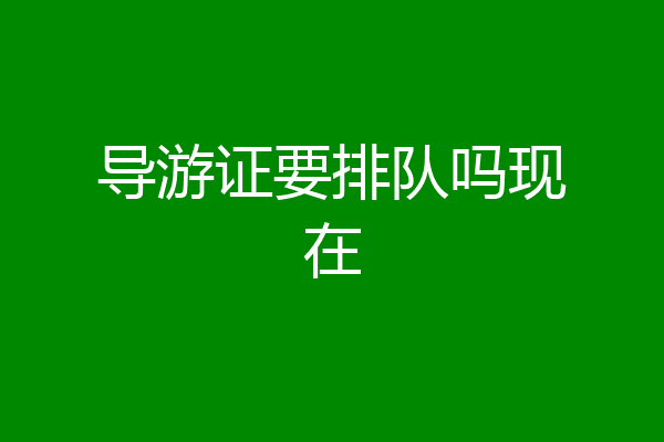 导游证要排队吗现在