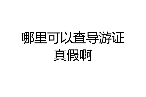 哪里可以查导游证真假啊
