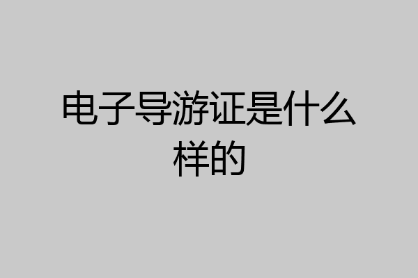 电子导游证是什么样的
