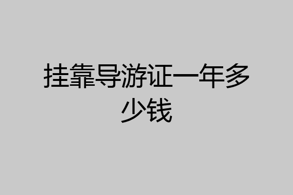挂靠导游证一年多少钱