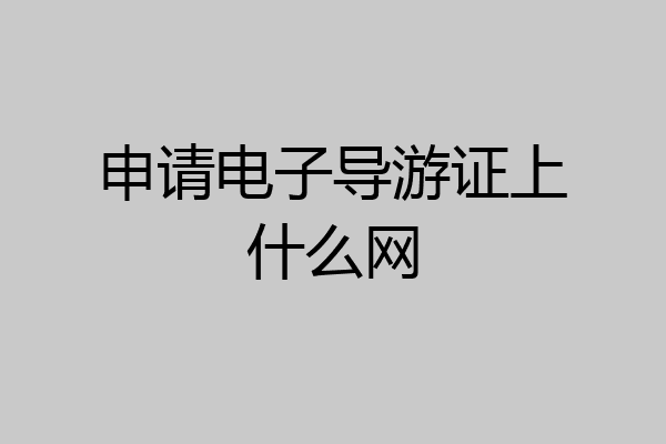 申请电子导游证上什么网