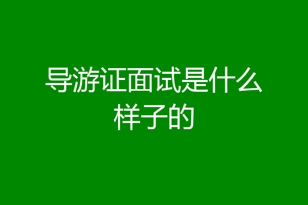 导游证面试是什么样子的