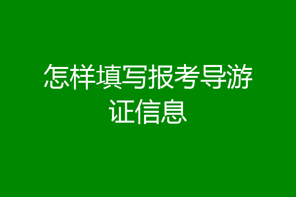 怎样填写报考导游证信息