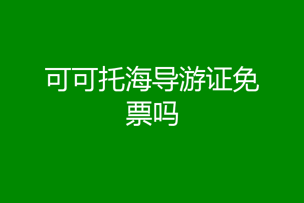 可可托海导游证免票吗