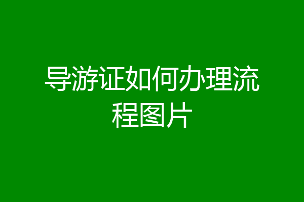 导游证如何办理流程图片