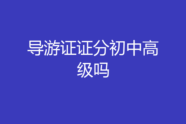 导游证证分初中高级吗