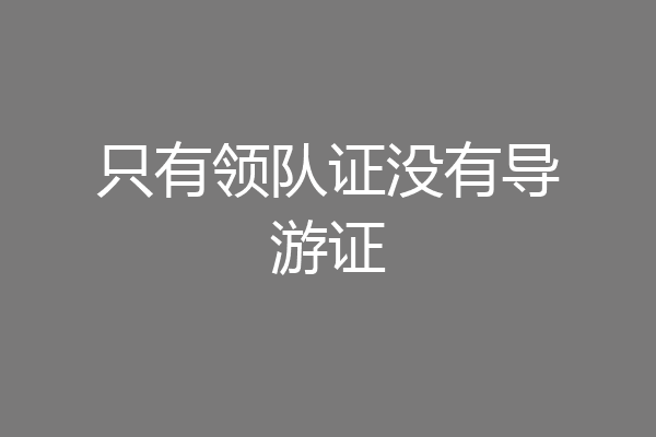 只有领队证没有导游证