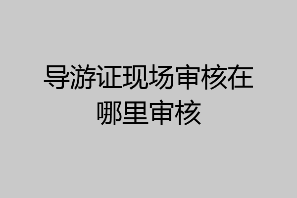 导游证现场审核在哪里审核