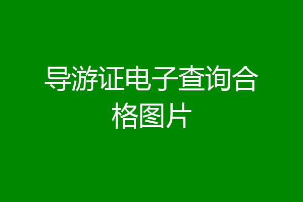 导游证电子查询合格图片