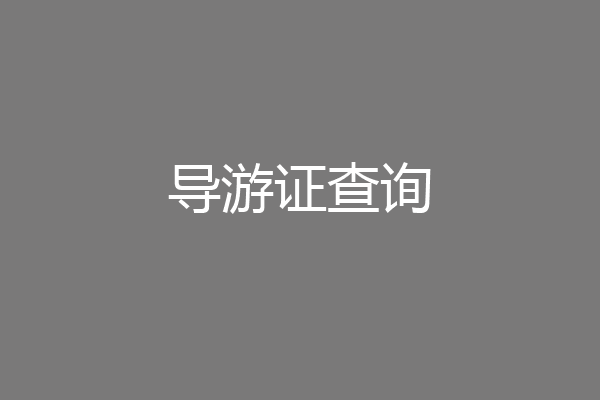 导游证查询