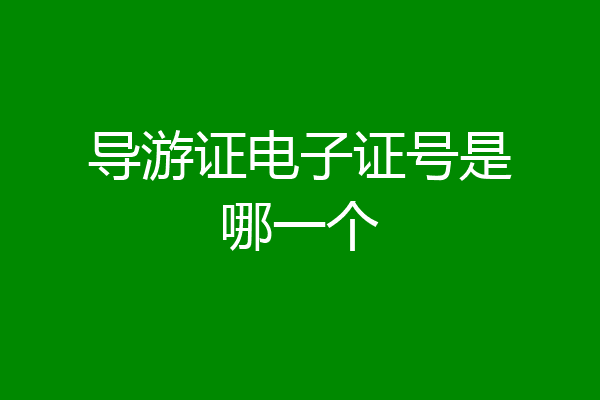 导游证电子证号是哪一个