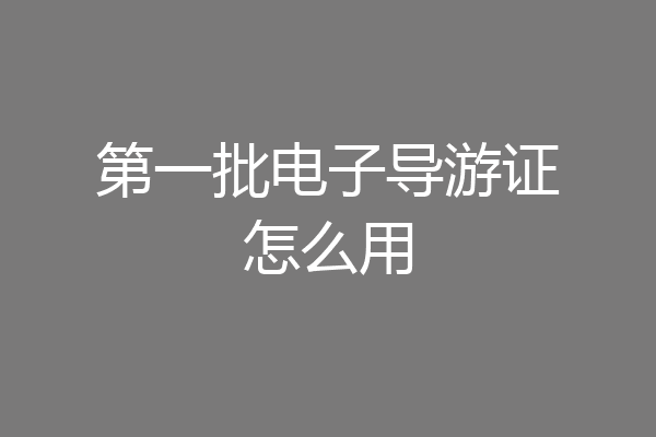 第一批电子导游证怎么用