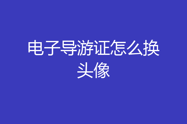 电子导游证怎么换头像