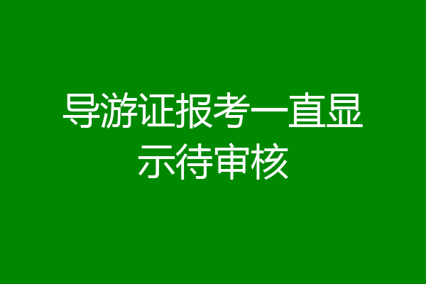 导游证报考一直显示待审核